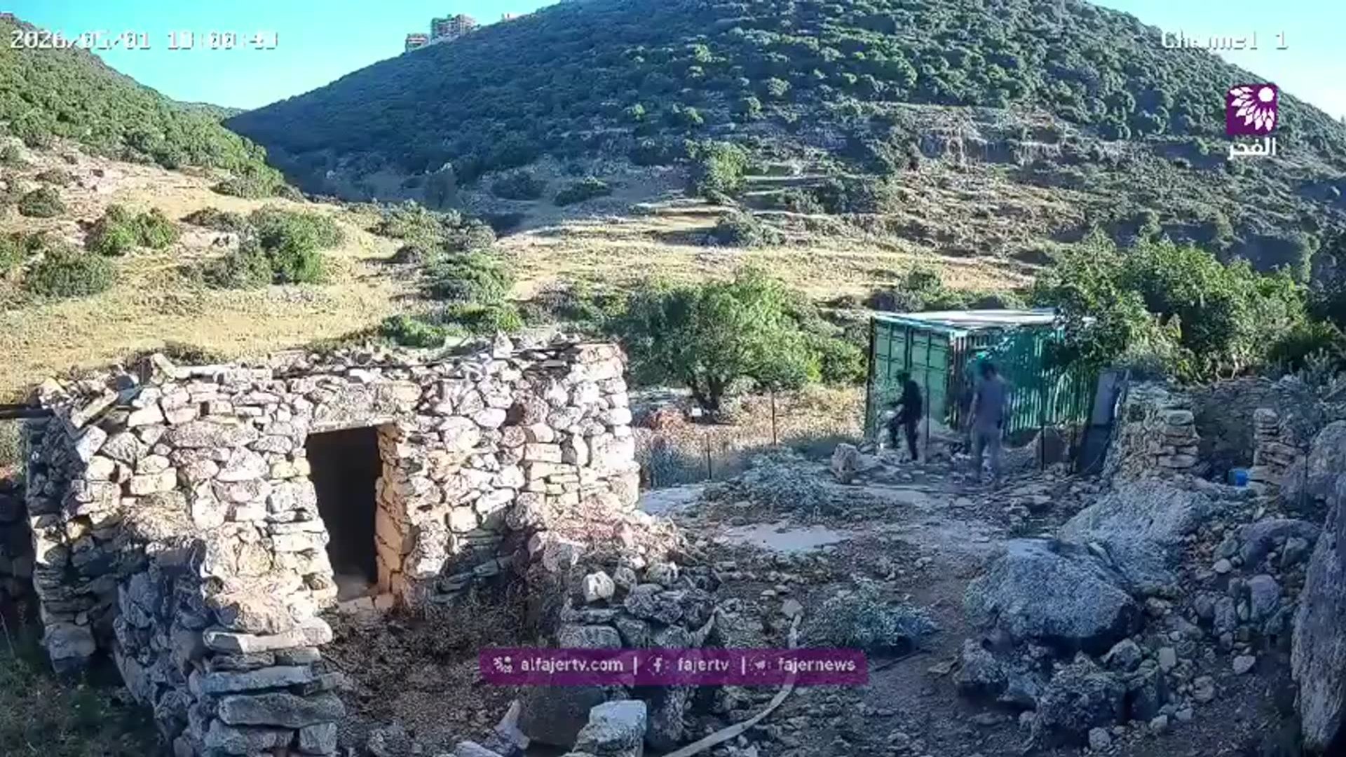 CCTV: Israeli settlers uproot 40 olive saplings in Deir Istiya, Salfit